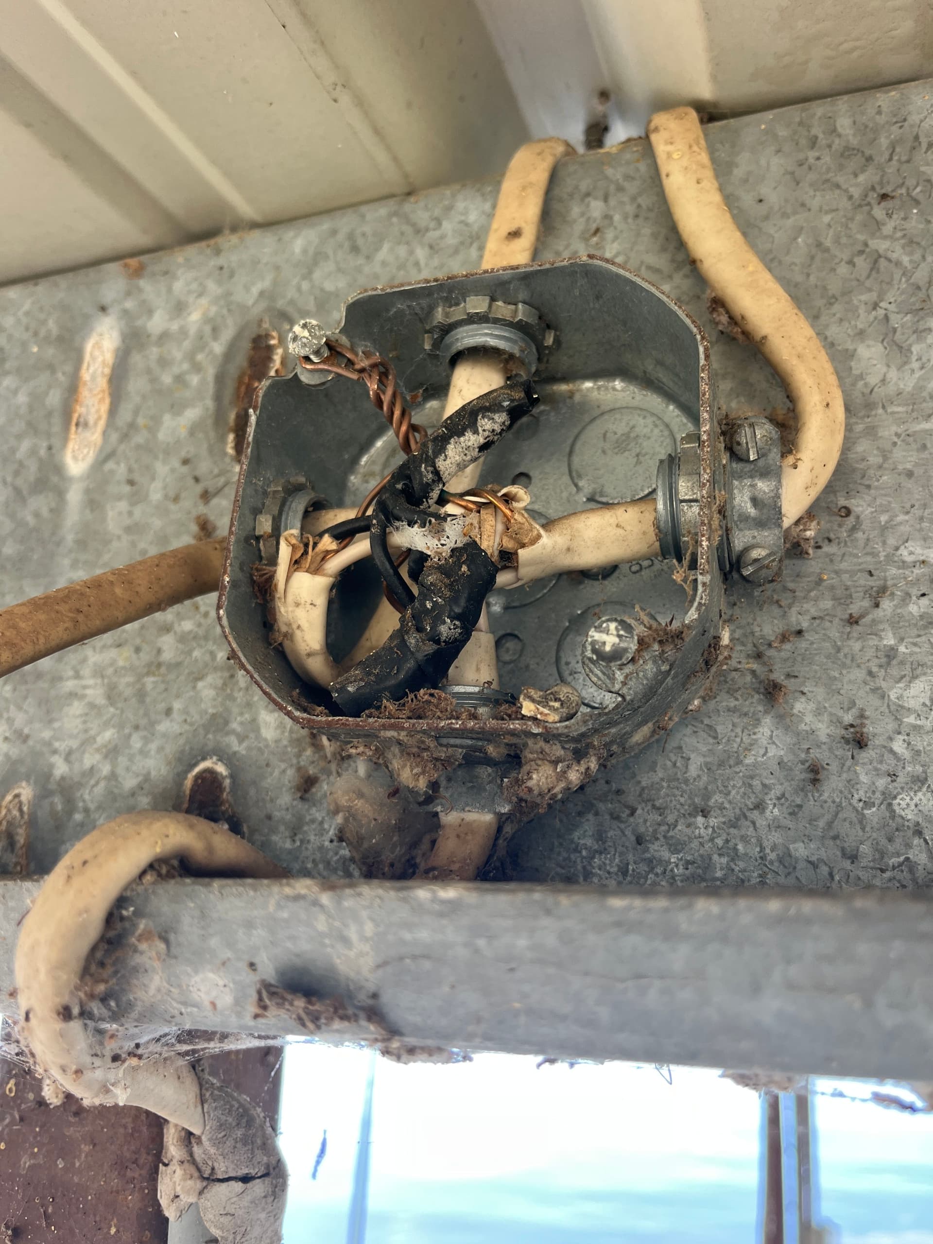 Gallery photos for Dock Electrical Torn Out and Rewired From the Ground Up: Image #3
