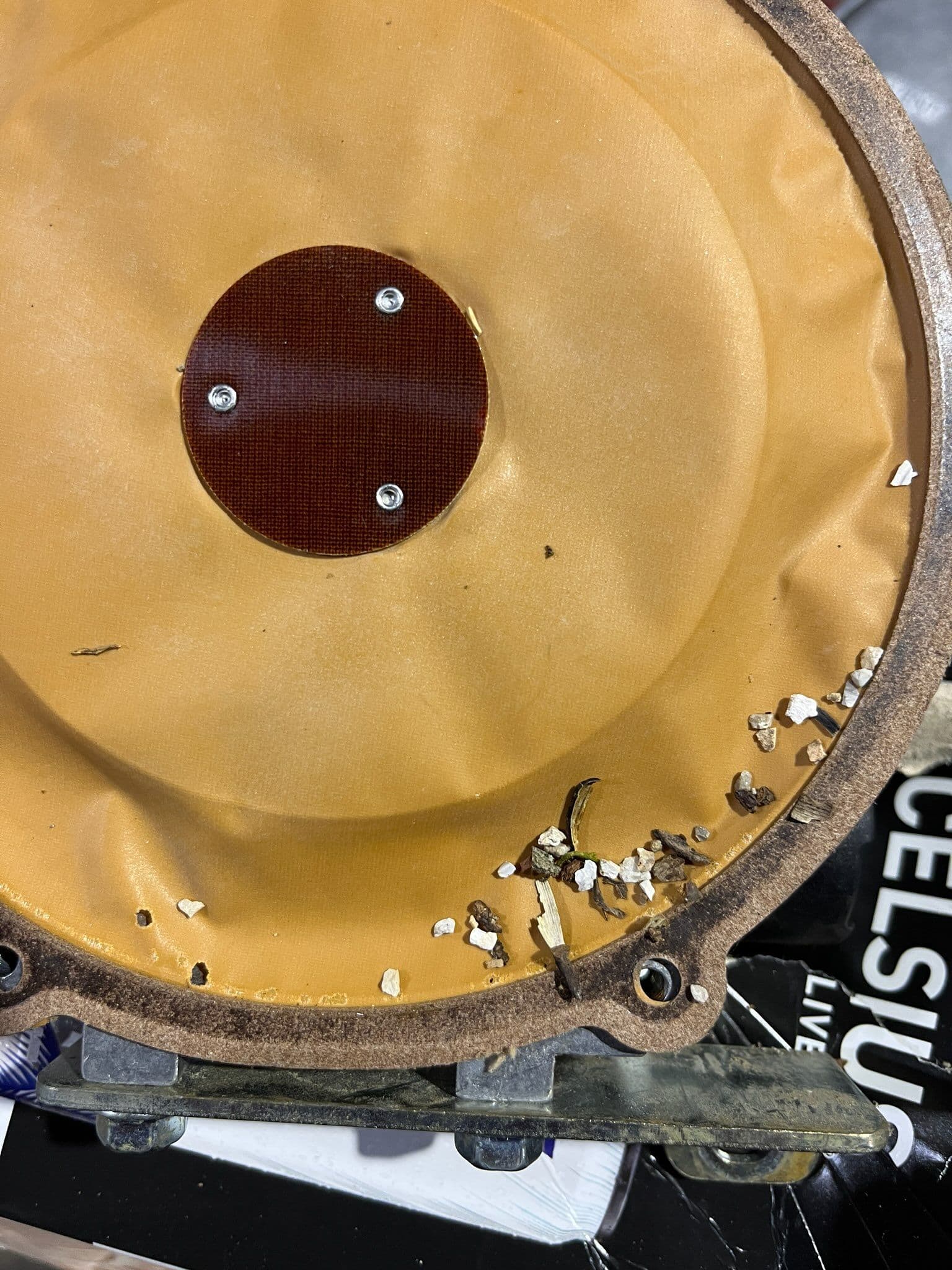 Project Resolving Insect Trouble in Gas Regulators image