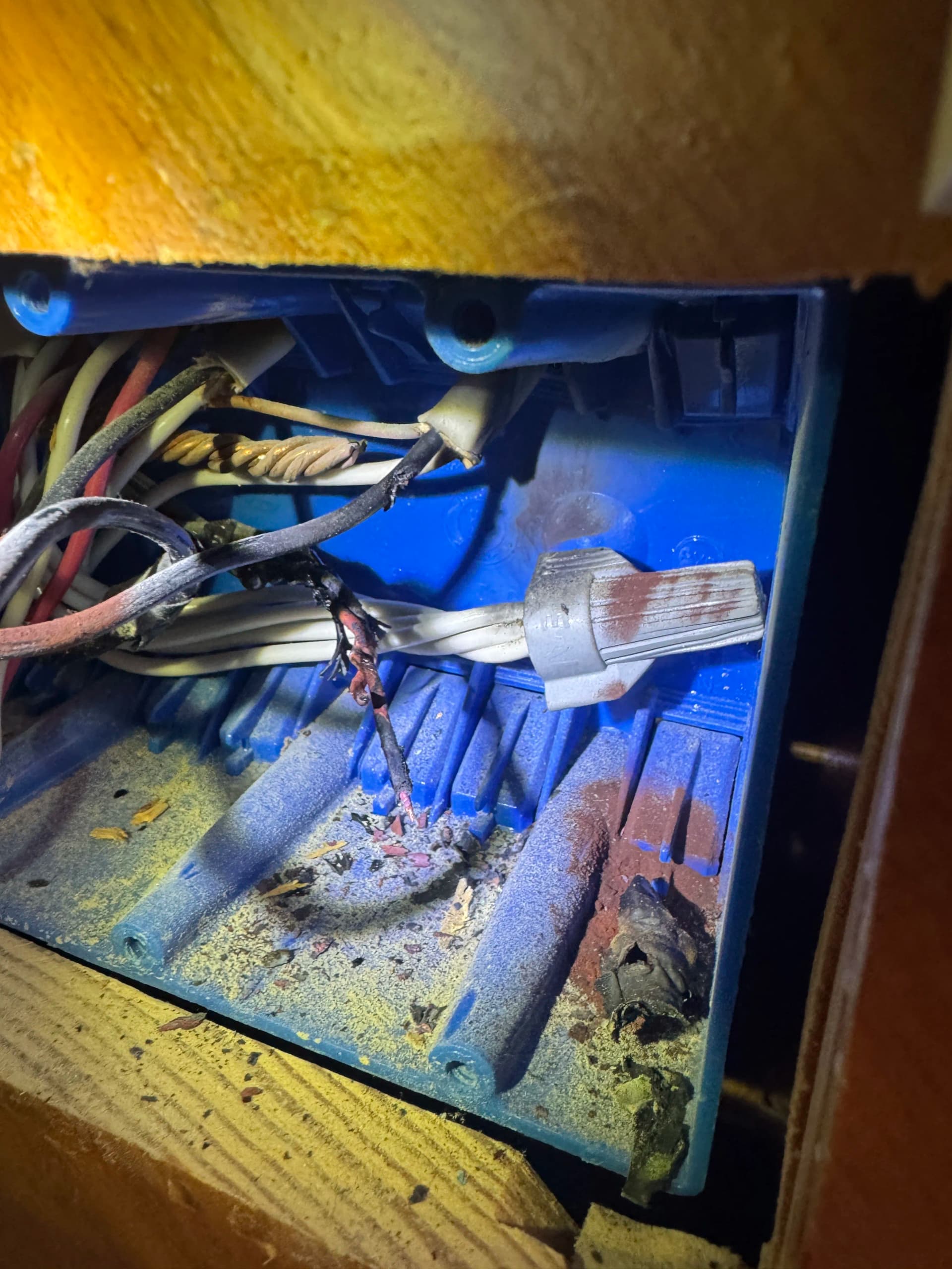 Gallery photos for When Lights Go Out It's Usually More Than a Tripped Breaker: Image #1